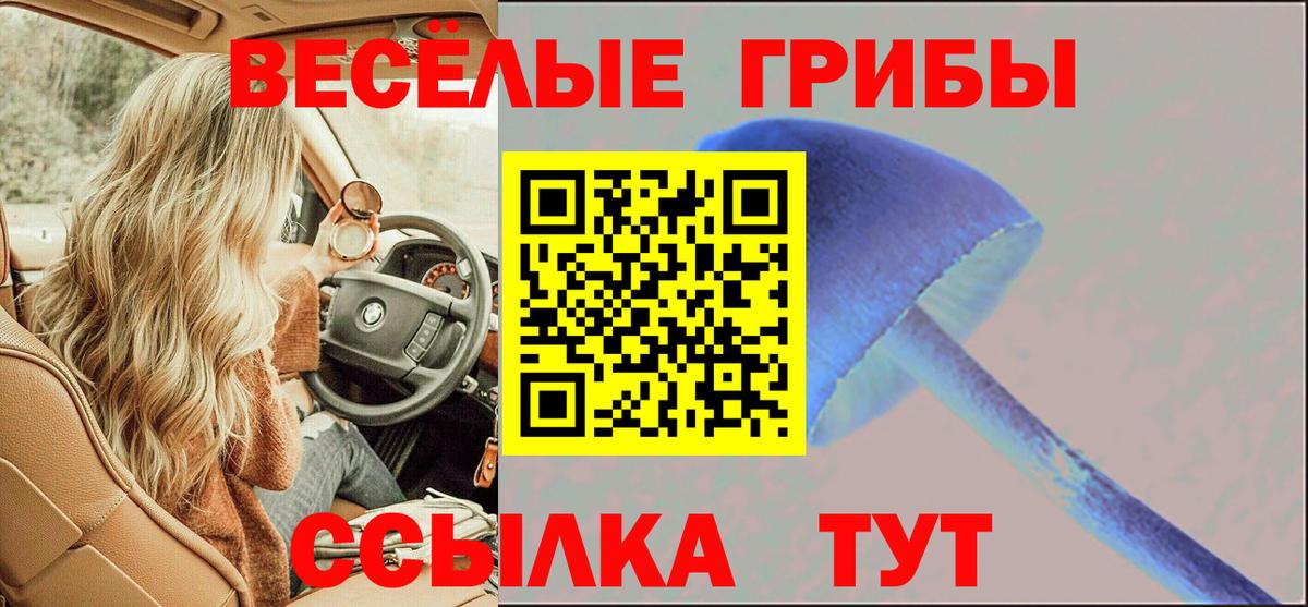 Псилоцибиновые грибы ЛСД Семёнов